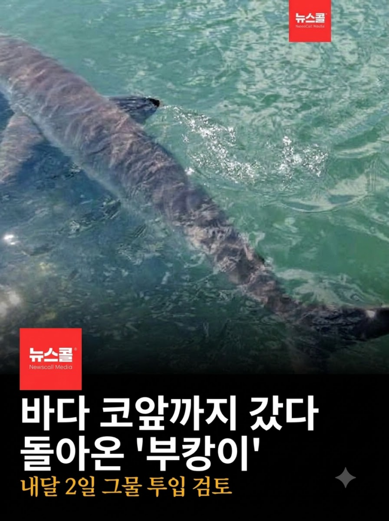 북한, 유엔서 핵보유 고수 -