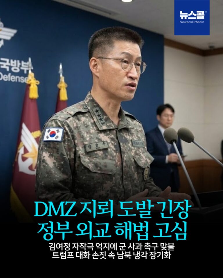 DMZ 지뢰 도발 긴장 정부 외교 해법 고심 -