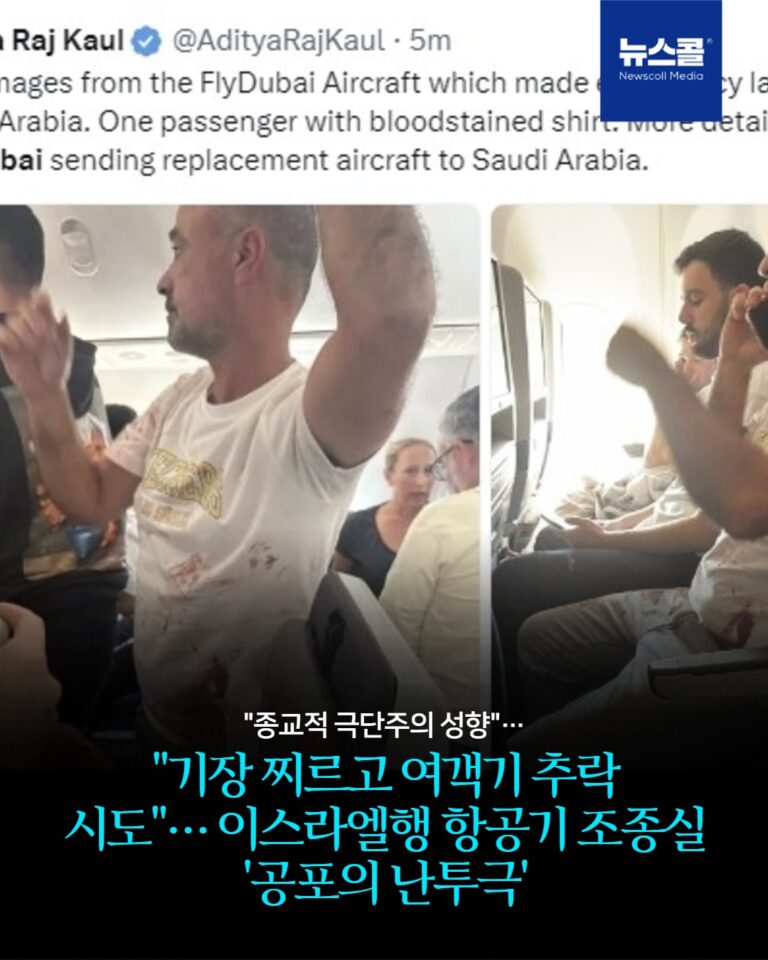 "기장 찌르고 여객기 추락 시도"… 이스라엘행 항공기 조종실 '공포의 난투극' -